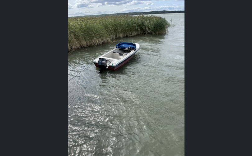 Marino Mustang Yamaha 60hv Marino Mustang-kuva-2